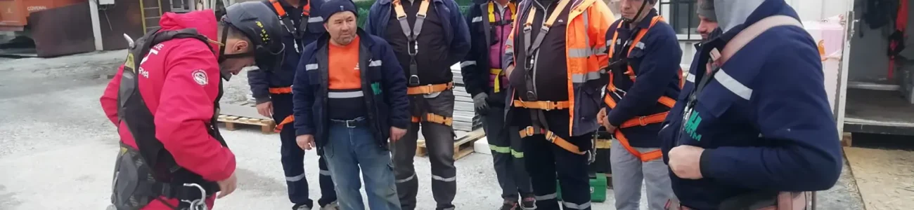 projelendirme ve danışmanlık